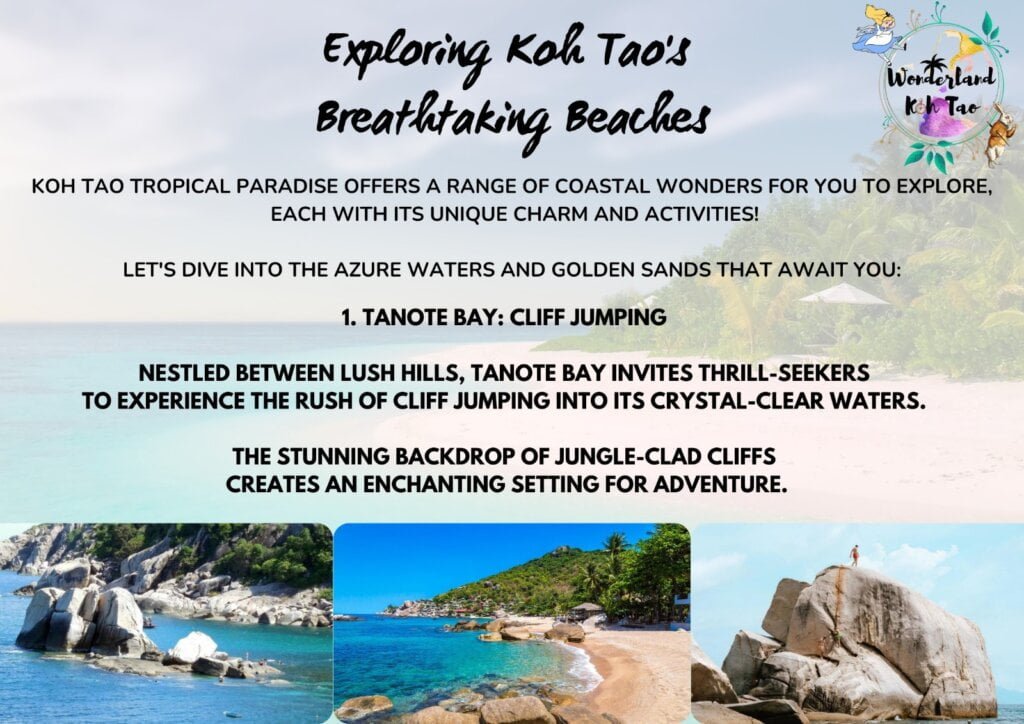 snorkeling spot 1 - Discover the 6 Best Beaches in Koh Tao for Sunsets, Snorkeling, and Adventure - All Articles