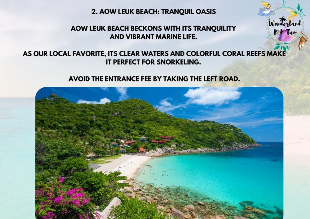 snorkeling spot 2 - Discover the 6 Best Beaches in Koh Tao for Sunsets, Snorkeling, and Adventure - All Articles