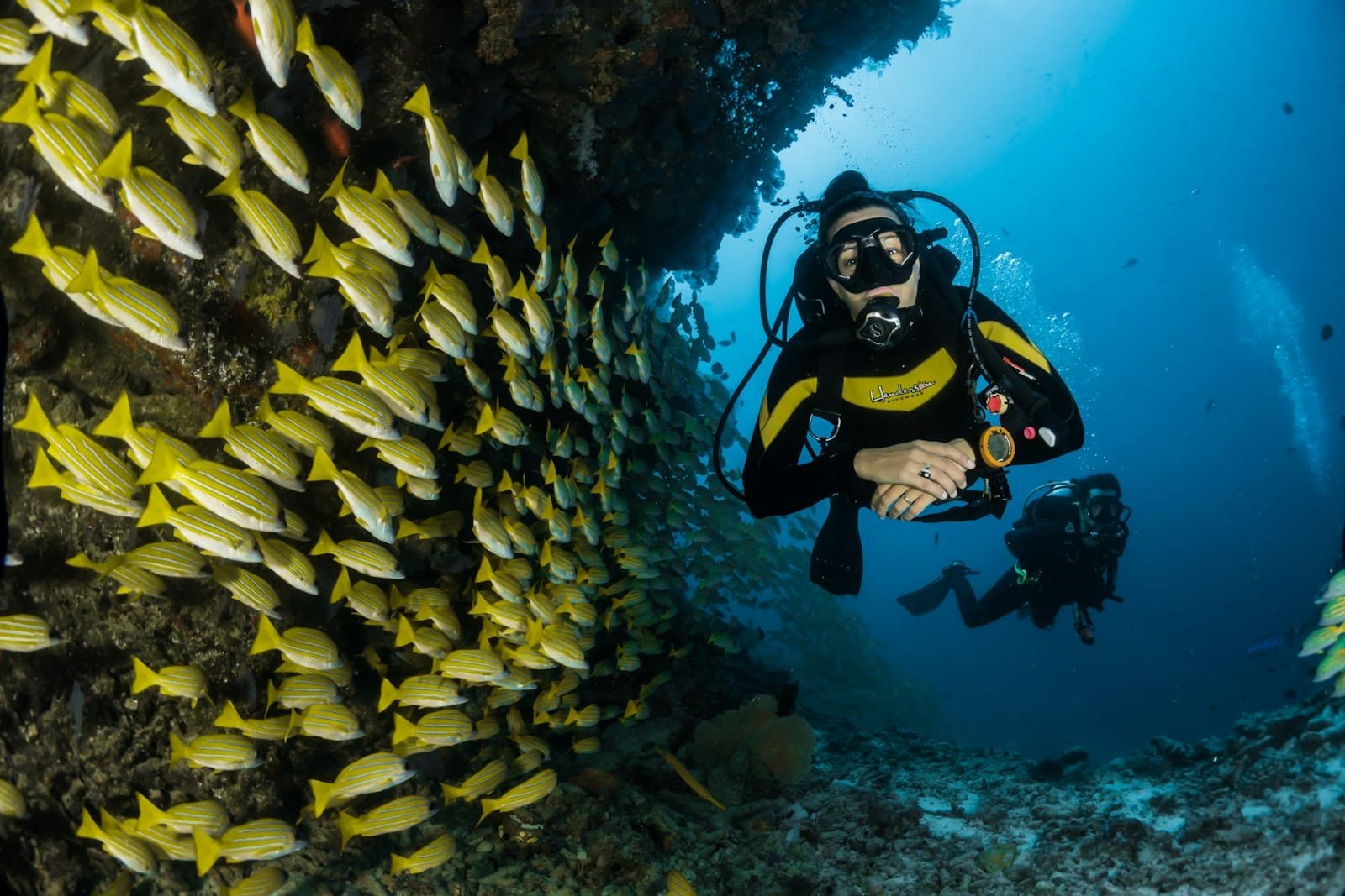 koh tao diving spots