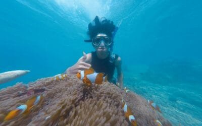 Discover the Best Snorkeling Spots in Thailand: Unforgettable Underwater Adventures