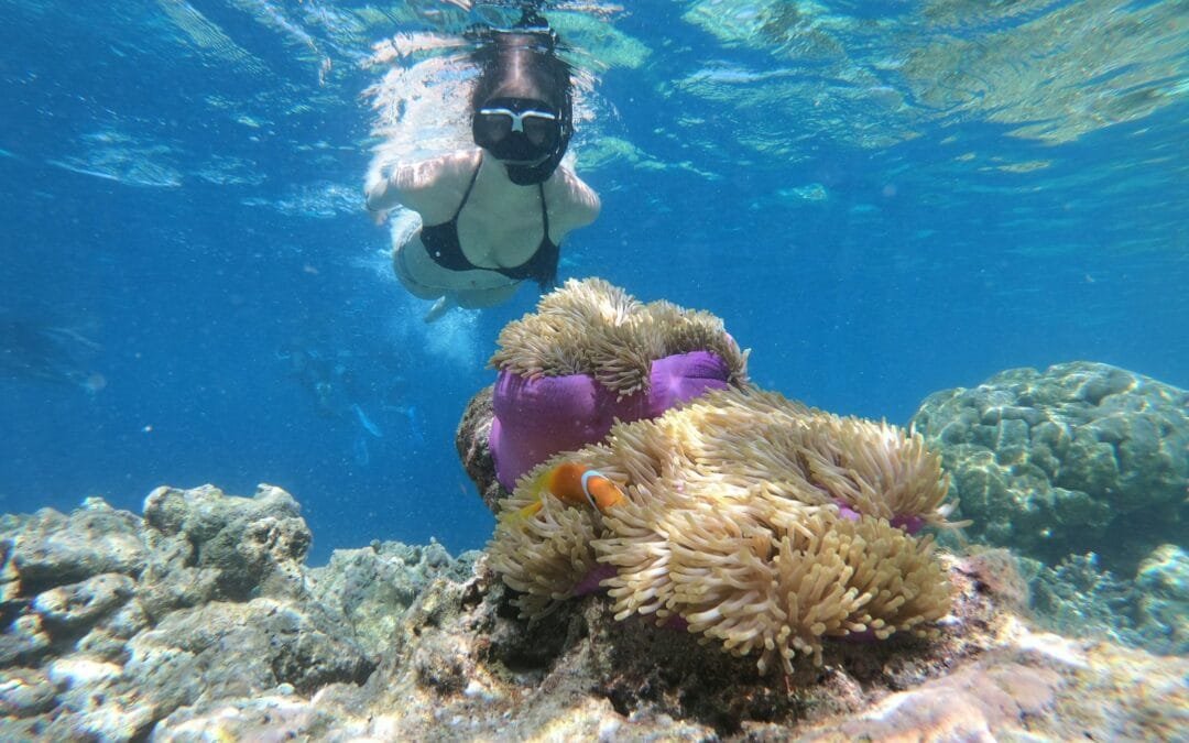 aow leuk snorkeling