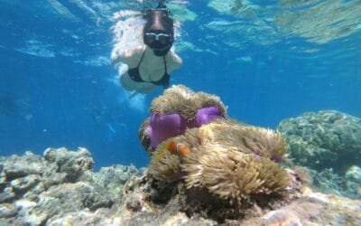 Freedom Beach Koh Tao: A Paradise for Snorkeling