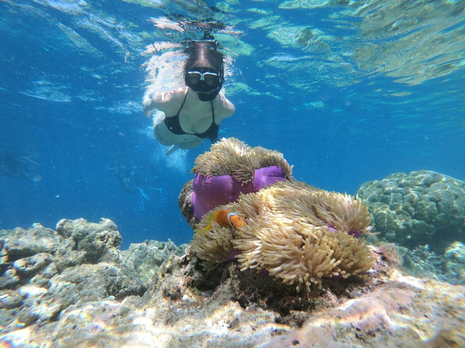 aow leuk snorkeling