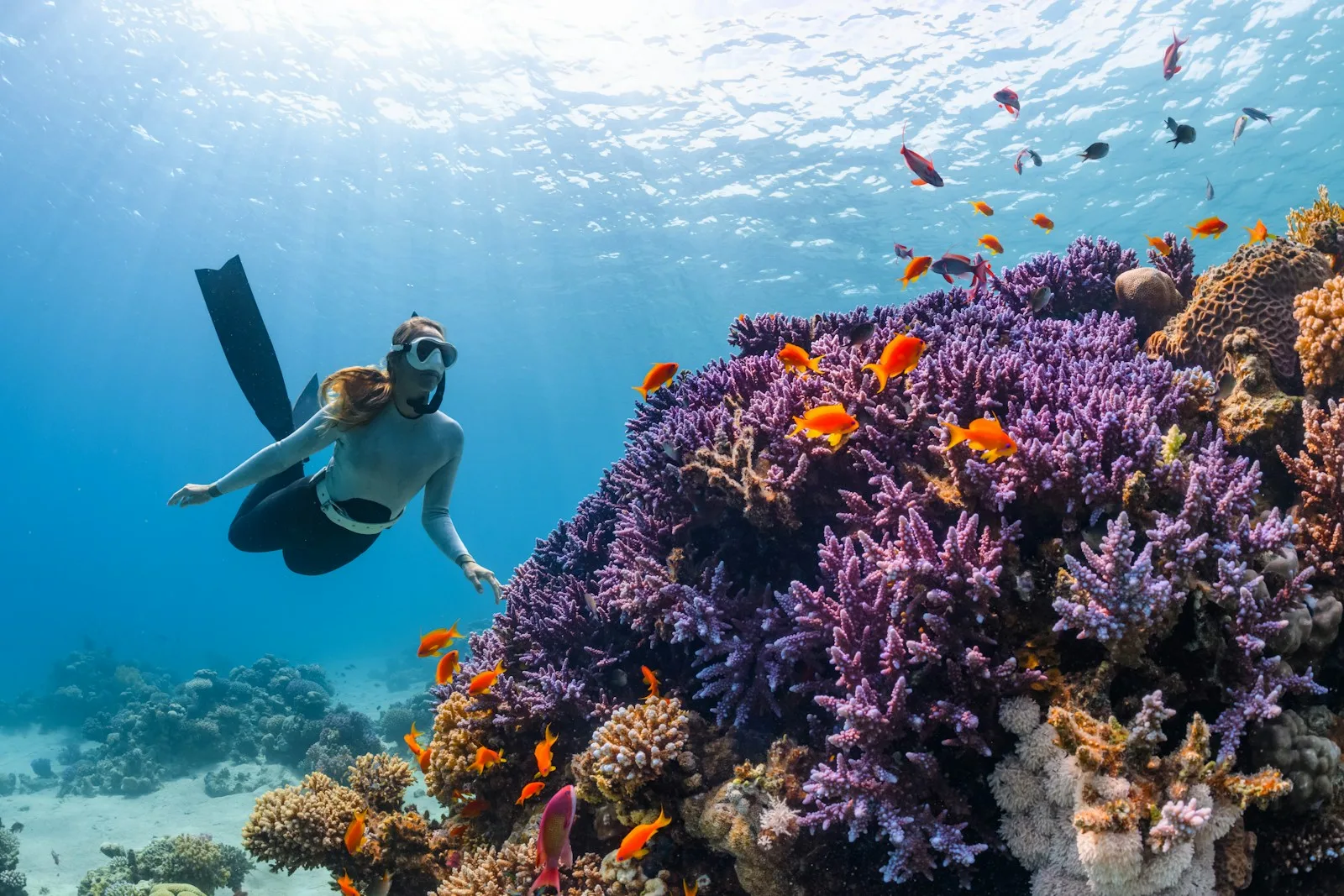 Photo by NEOM koh tao diving schools